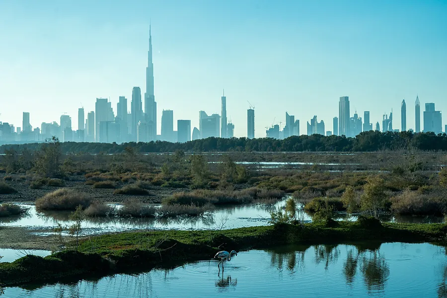 Dubai skyline from the creek