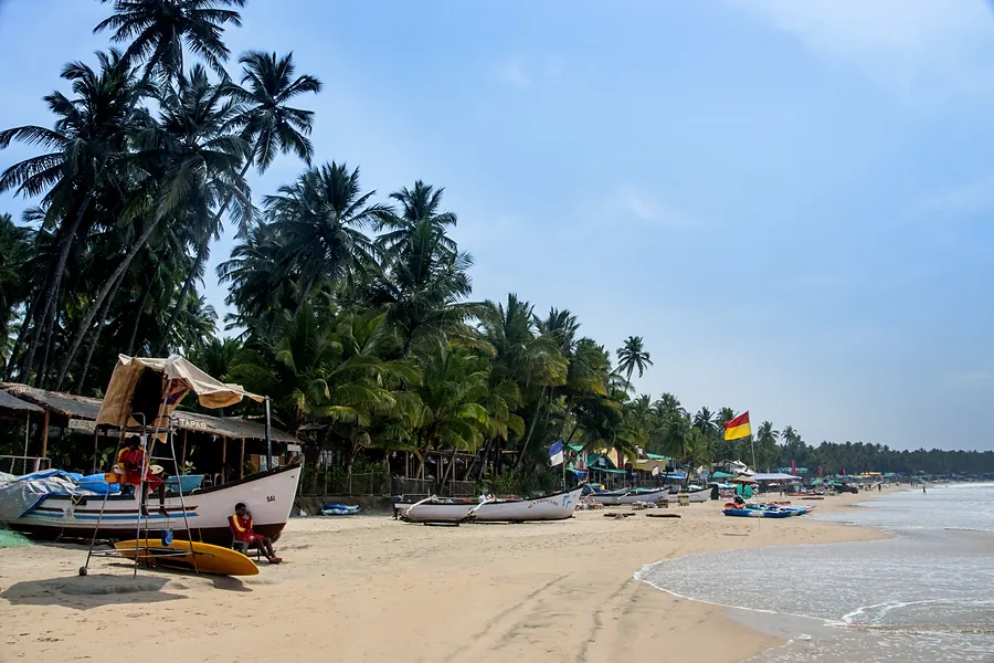 Palm-lined shores