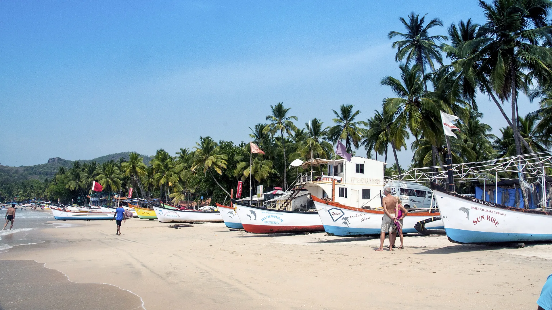 Boats on a palm-fringed beach in Goa